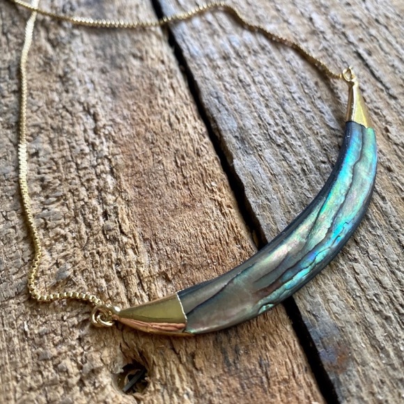 Abalone Shell Crescent Necklace - Picture 4 of 8